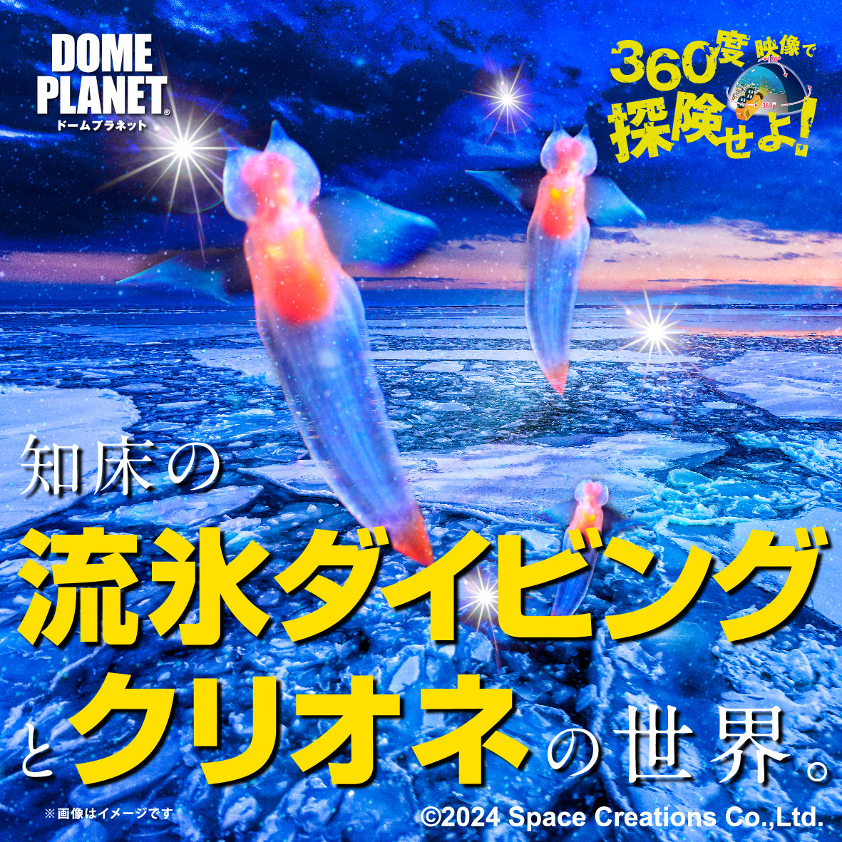 北海道の流氷とクリオネのダンス