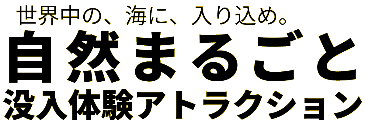 世界中の、海に、入り込め。自然まるごと没入体験アトラクション